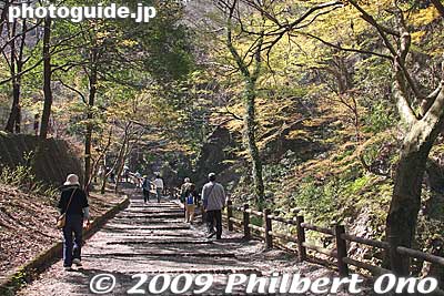 Getting nearer to Yoro-no-taki Falls. It's a good uphill hike which will tire you. But it's not too long.
Keywords: gifu yoro-cho yoro park waterfalls yoro-no-taki falls 