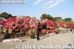 Filename=ts233-20140502-3612.jpg
Filesize=28KiB
Dimensions=400x267
Date added=May 23, 2014 ts233-20140502-3612.jpg