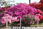 ts253-20140502-3351.jpg
