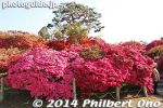 ts258-20140502-3358.jpg
