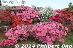 ts271-20140502-3388.jpg