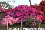 ts282-20140502-3476.jpg