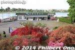 ts286-20140502-3490.jpg