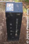 ts304-20140502-3547.jpg
