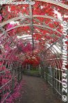 Filename=ts329-20140502-3624.jpg
Filesize=37KiB
Dimensions=267x400
Date added=May 23, 2014 ts329-20140502-3624.jpg