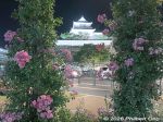 fy136-20260526_1360as.jpg