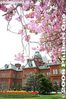 ho013-IMG_00931.jpg