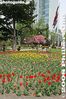 ho017-IMG_01003.jpg