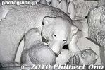 sa330-20100209_0361.jpg