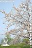 te010-IMG_00512.jpg