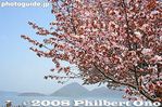 te025-IMG_5590.jpg