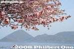 te027-IMG_5599.jpg