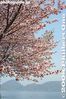 te028-IMG_5595.jpg