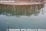 tc030-IMG_5032.jpg