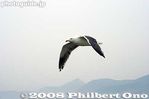 tc037-IMG_5017.jpg