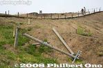 ni024-IMG_00355.jpg