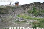 ni031-IMG_00376.jpg
