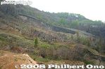 ni037-IMG_00406.jpg