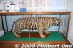 ij169-20090402_4976.jpg