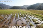 Filename=ty209-20181026-0068.jpg
Filesize=39KiB
Dimensions=500x333
Date added=Dec 25, 2018 ty209-20181026-0068.jpg