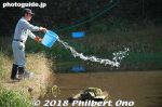 Filename=ty224-20181026-0348.jpg
Filesize=30KiB
Dimensions=500x333
Date added=Dec 25, 2018 ty224-20181026-0348.jpg