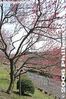 034-IMG_7377.jpg