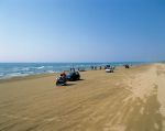 no155-1111111313chirihama.jpg