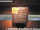 067-IMG_9431.jpg