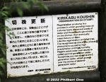 Filename=ya239-20220622-0154.jpg
Filesize=87KiB
Dimensions=800x620
Date added=Jan 10, 2023 ya239-20220622-0154.jpg