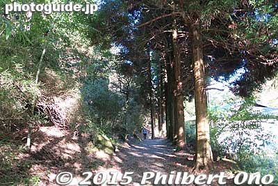 Hakone's old Kaido road
Keywords: kanagawa hakone