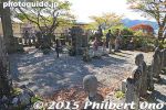 Filename=ha849-20151104_9488.jpg
Filesize=34KiB
Dimensions=400x267
Date added=Apr 04, 2016 ha849-20151104_9488.jpg