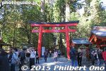Filename=ha858-20151104_9502.jpg
Filesize=37KiB
Dimensions=400x267
Date added=Apr 04, 2016 ha858-20151104_9502.jpg