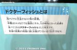 Filename=ha213-20151103_8902.jpg
Filesize=55KiB
Dimensions=800x533
Date added=Apr 04, 2016 ha213-20151103_8902.jpg