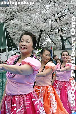 Hula and cherry blossoms
Keywords: kanagawa kawasaki kanayama jinja shrine phallus penis kanamara matsuri japansakura festival hula