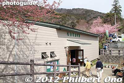 At the end of the short trail is a small Nature Museum.
Keywords: kanagawa matsuda-machi town kawazu sakura matsuri cherry blossoms flowers trees