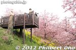 Filename=ms268-20120322_4867.jpg
Filesize=31KiB
Dimensions=400x267
Date added=Mar 22, 2012 ms268-20120322_4867.jpg