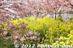 ms276-20120322_4895.jpg