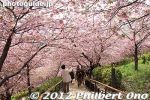 ms281-20120322_4920.jpg