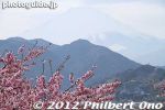 ms298-20120322_5000a.jpg