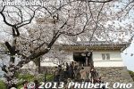 od133-20130326-5479.jpg