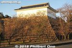 ka303-20181124_3552.jpg