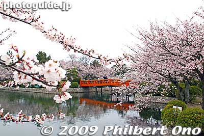 Keywords: mie kuwana kyuka park cherry blossoms castle sakura moat