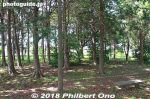 me342-20180603-1274.jpg