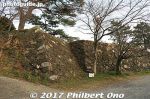 Filename=tc216-20170110_2885.jpg
Filesize=54KiB
Dimensions=500x333
Date added=Jun 18, 2017 tc216-20170110_2885.jpg