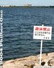Filename=12swim.jpg
Filesize=27KiB
Dimensions=314x400
Date added=May 28, 2005 12swim.jpg