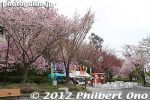 Filename=ts201-20120502_5276.jpg
Filesize=32KiB
Dimensions=400x267
Date added=Jan 22, 2013 ts201-20120502_5276.jpg