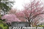 Filename=ts202-20120502_5317.jpg
Filesize=40KiB
Dimensions=400x267
Date added=Jan 22, 2013 ts202-20120502_5317.jpg