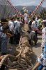 081-ONBASHIRA285.jpg