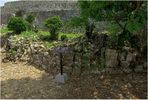 003-IMGP_7140.jpg