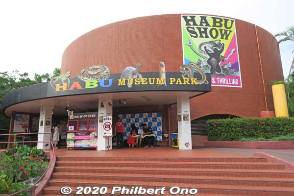 Habu Museum Park has an educational museum about the habu, a zoo of habu and other snakes, and a small hall for the habu snake show. First find out what time the next habu show will be.
Keywords: okinawa nanjo world habu snake viper